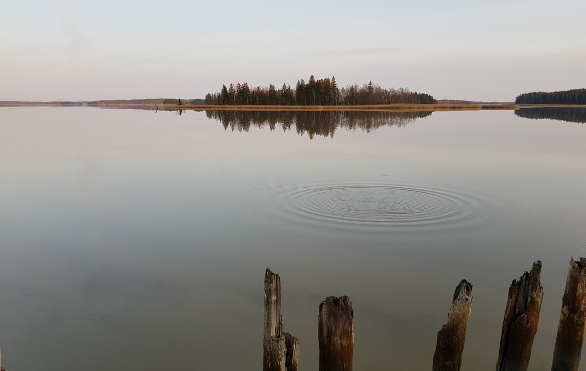 Ekoblogi levittää kestäviä käytäntöjä