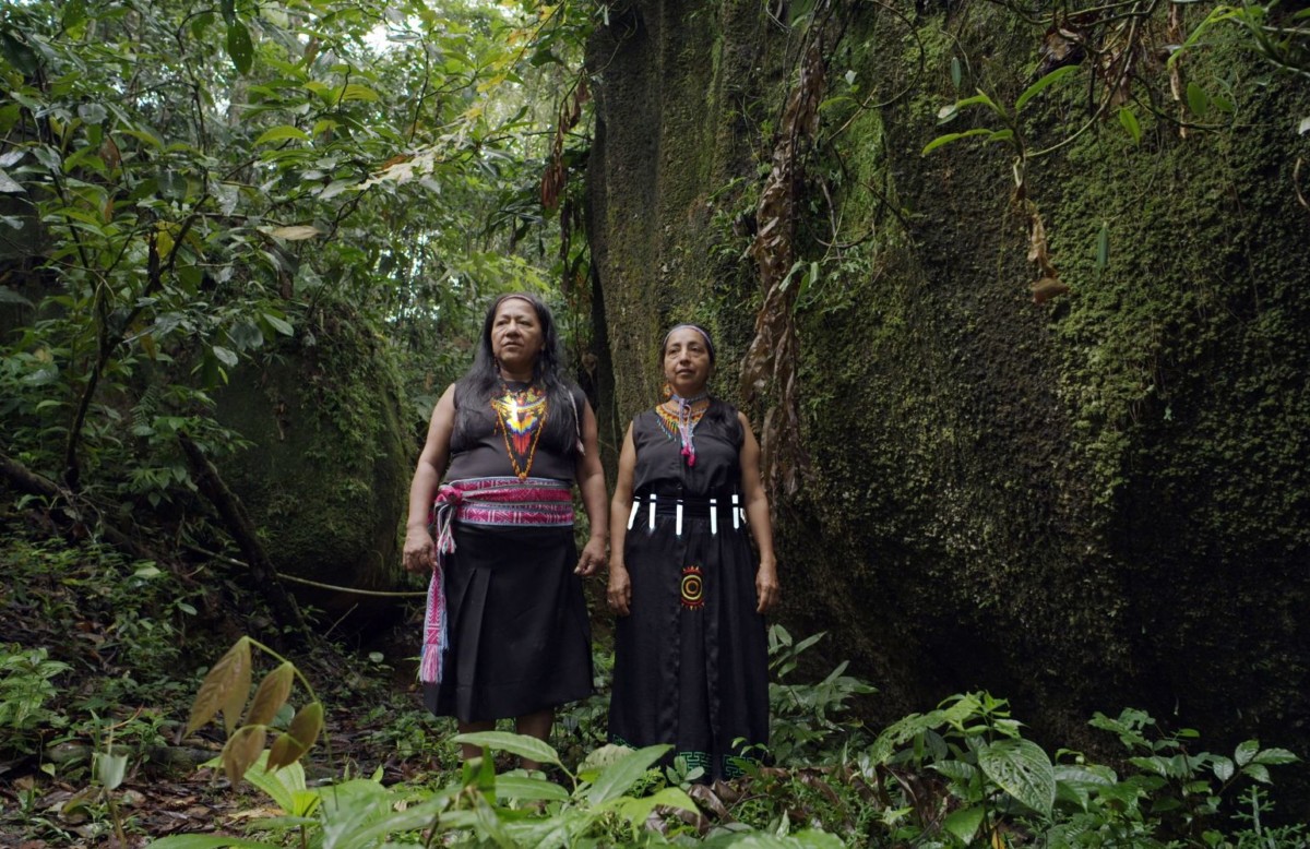 Forest Mind film on the night of science two women standing in a rain forest