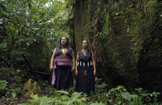 Forest Mind elokuva Tieteiden yössä, kaksi naista seisoo sademetsässä