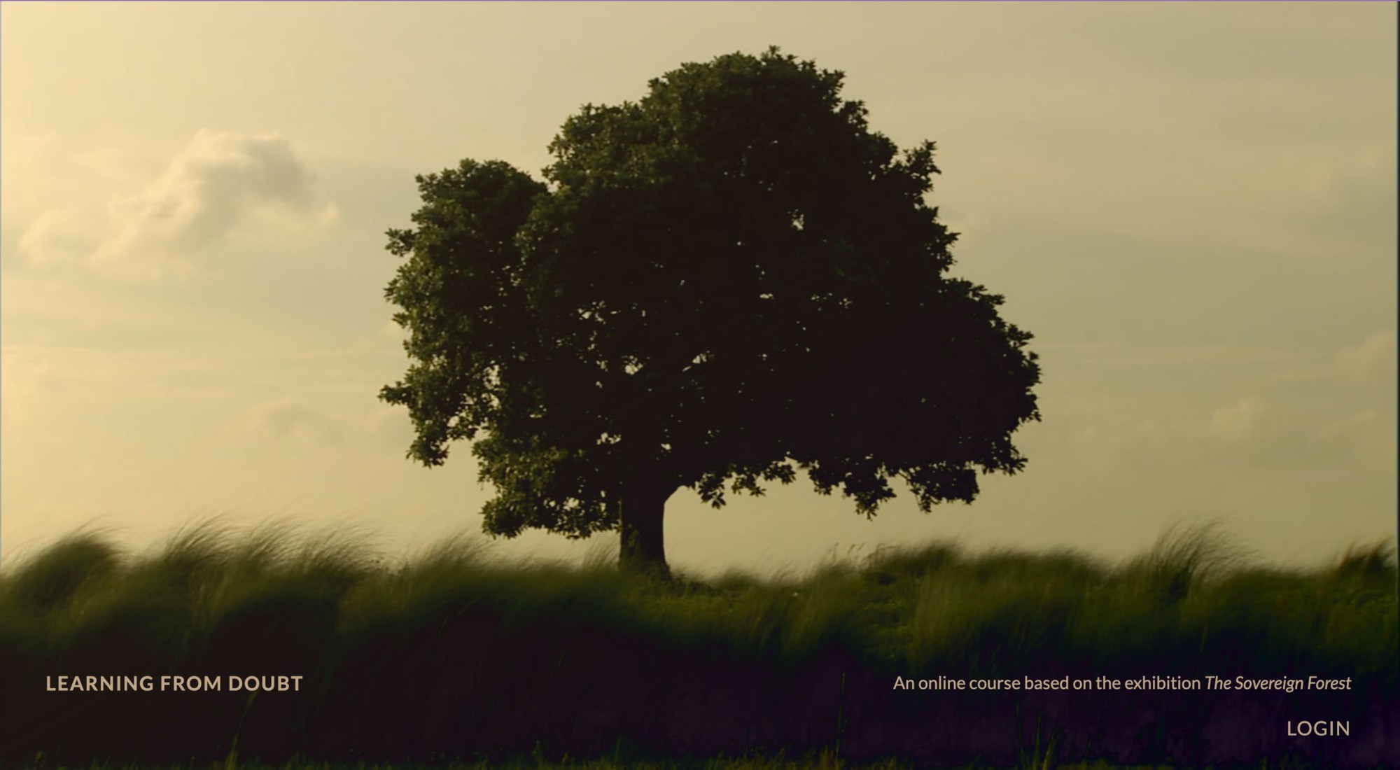 Image of Amar Kanwar's IHME Helsinki Commission 2022 screen shot of a log in page, tree in a field