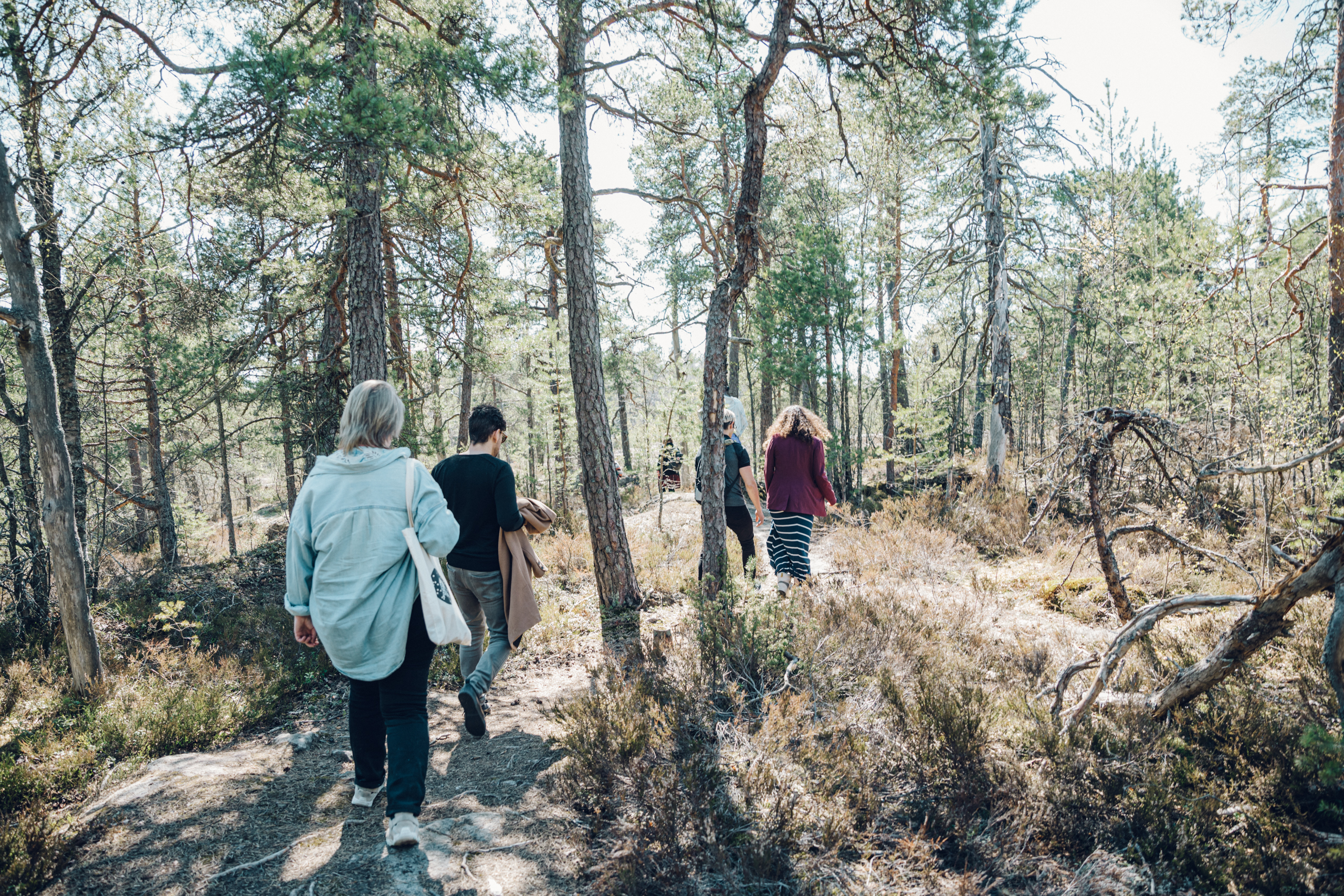 Ryhmä ihmisiä kulkee metsässä.