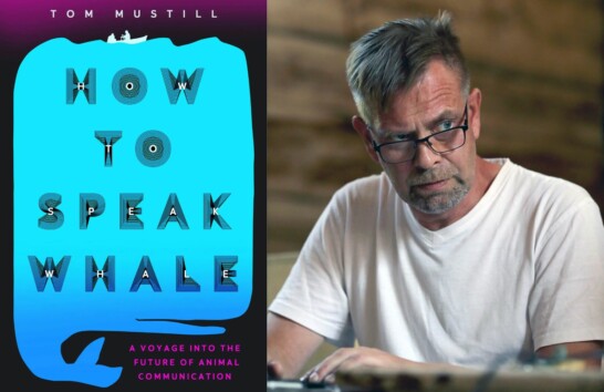 The book cover of Tom Mustill's How to Speak Whale and portrait of Kalle Hamm. A serious and concentrated looking man with glasses.