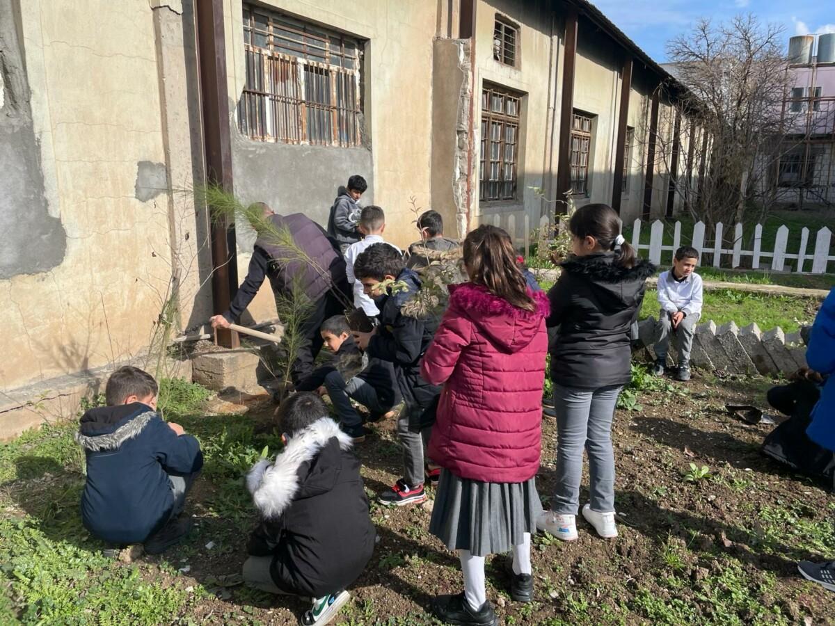 A group of children at a school yard planting trees on a sunny day.