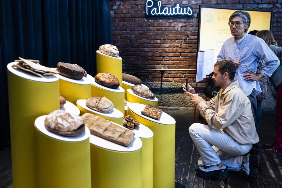 Kuvassa on keltaisista jalustoista koostuva maaleipä näyttely. Jalustojen päällä on leipiä ja yksi henkilö valokuvaa niitä. Toinen henkilökatselee.